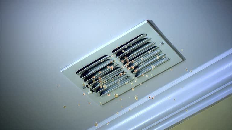 Best Affordable Duct Cleaning Services  in Bridgeport, MI