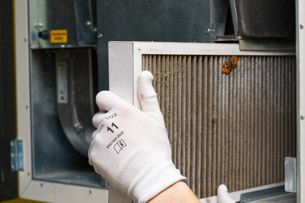 Best Emergency Air Duct Cleaning  in Bridgeport, MI