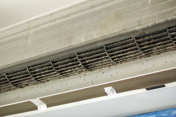 Best HVAC System Cleaning  in Bridgeport, MI