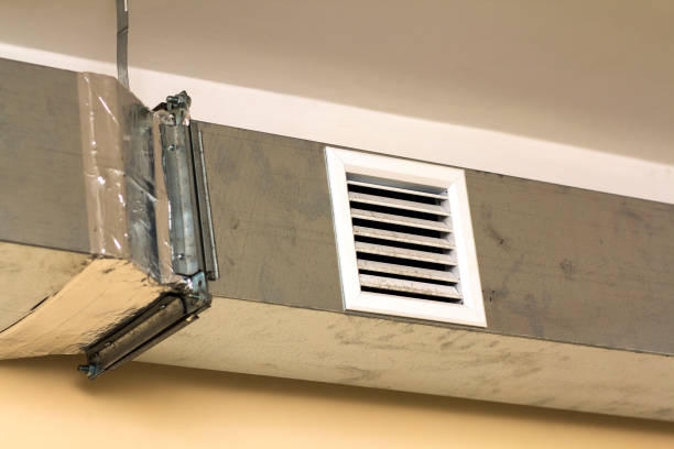 Best Local Air Duct Cleaning Services  in Bridgeport, MI